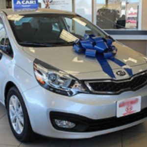 22 inch magnetic car bow