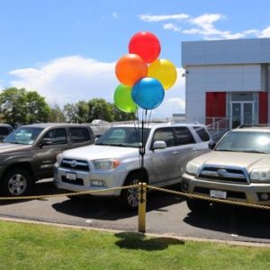 Balloon Bobber Pole Kit (5 Balloons)