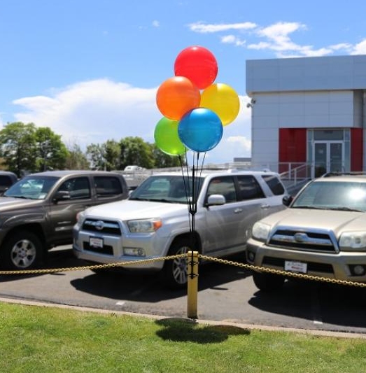 Balloon Bobber Pole Kit (5 Balloons)