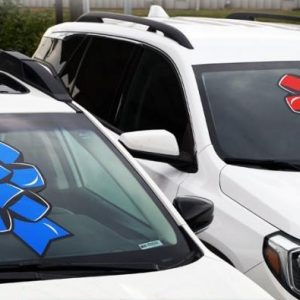 car window decal bows