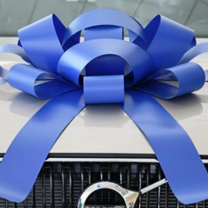 Giant car bow