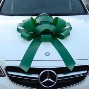 giant green car bow