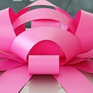 giant pink car bow