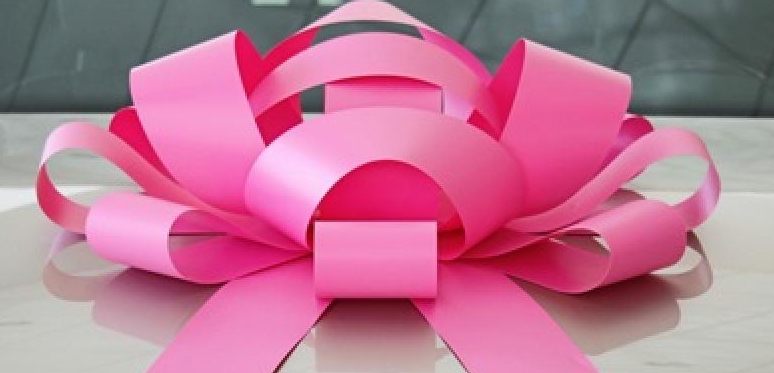 giant pink car bow