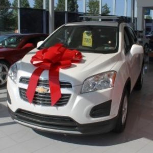 Giant Car Bow With Suction Cups