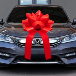 Premium Magnetic Car Bow