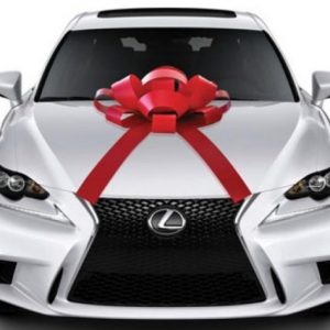 30 Inch Magnetic Car Bow