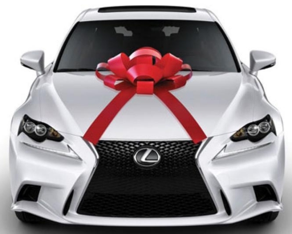 30 Inch Magnetic Car Bow